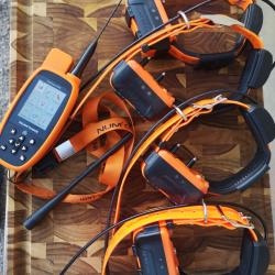 Canicom num'axes gps avec 4 colliers gps