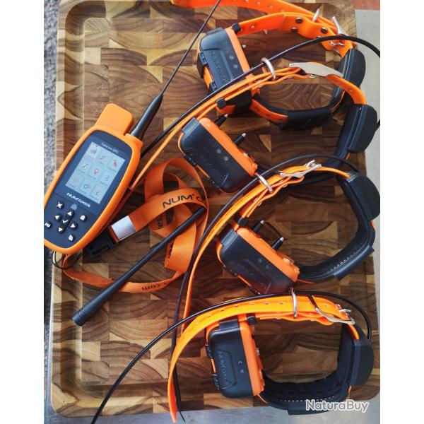 Canicom num'axes gps avec 4 colliers gps