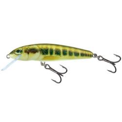 Poisson Nageur Salmo Minnow Coulant 6cm 6cm M - Minnow 6g