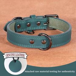 Collier pour Chien en Cuir Véritable Souple, Durable Confortable 43-53 cm Vert