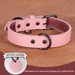 Collier pour Chien en Cuir Véritable Souple, Durable Confortable 43-53 cm Rose
