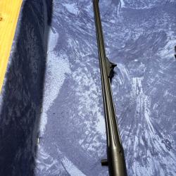 Canon R93 flûtée cal 243