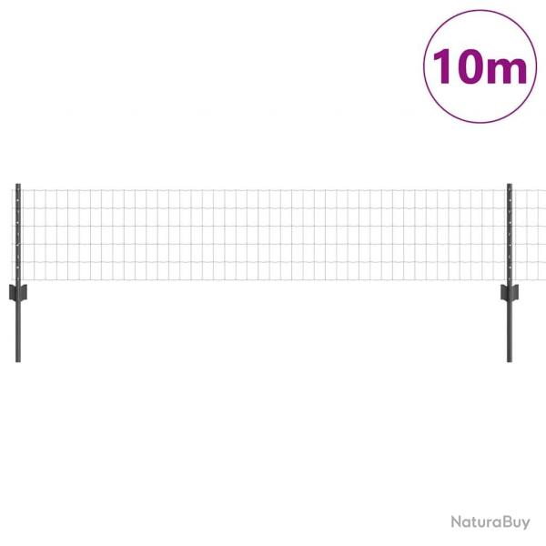Clture Euro avec 5 poteaux en U Grise 0,4x10 m Acier