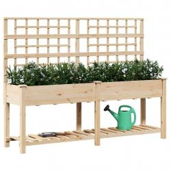 Jardinière avec treillis et étagère 203x53x152 cm en bois massif de sapin