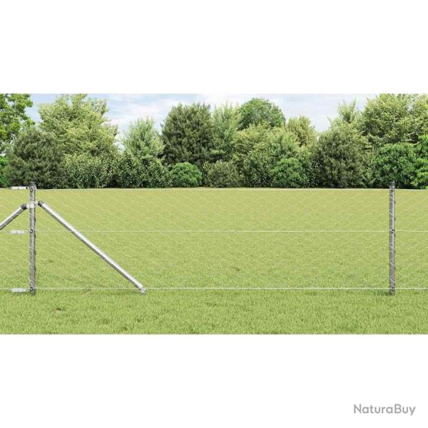 Clture hexagonale 0.6x25 m Acier Galvanis