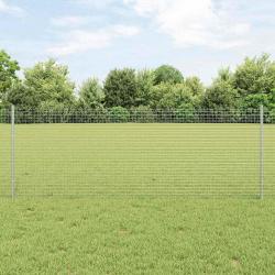 Clôture en Fil Soudé avec 22 Piquets U Argent 0,8x50 m Acier