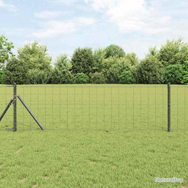 Clture Euro avec 13 poteaux 0,6 x 50 m en acier galvanis gris
