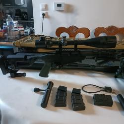 Carabine Ruger Rimfire précision 22 lr avec équipements complet état neuf sous garantie cause santé