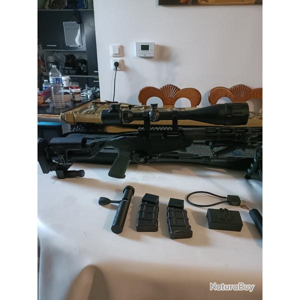 Carabine Ruger Rimfire prcision 22 lr avec quipements complet tat neuf sous garantie cause sant