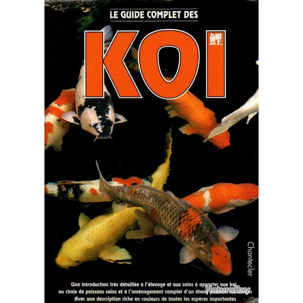 Le guide complet des ko collectif d'auteurs