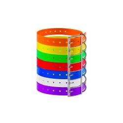 Collier pour Chien Country - Polyuréthane 2,5 cm - Résistant et Confortable - Sécurité et Durabilité