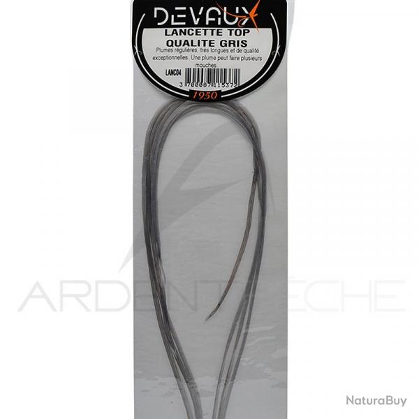 Lancettes de coq DEVAUX Top qualit gris