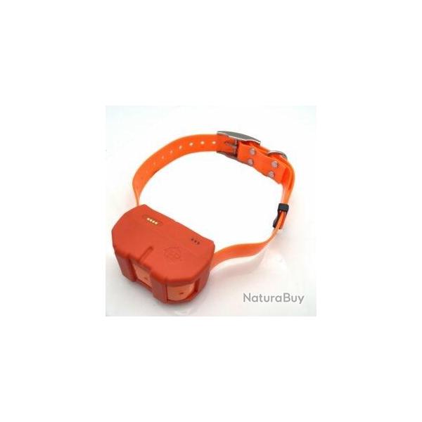 Collier DOGZE 4G - Balise GPS de reprage et dressage 4G frais de port offert !!