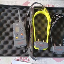pack 2 colliers canicom