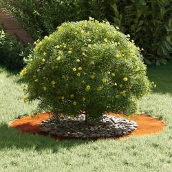 Vase en Acier Corten Acier Corten Grand Incrustations Décoratives
