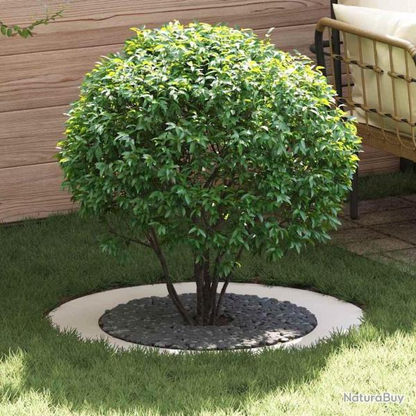 Pot Blanc Blanc Plastique Grand Lger Pot en Plastique
