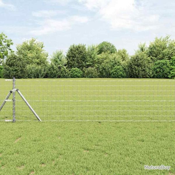 Clture Euro de avec 13 poteaux, 0,4 x 25 m en acier galvanis