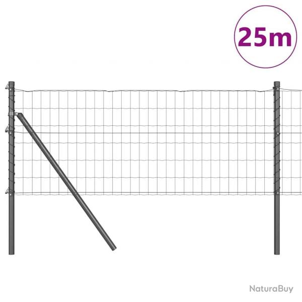 Clture Euro avec 13 poteaux 0,8 x 25 m en acier galvanis gris
