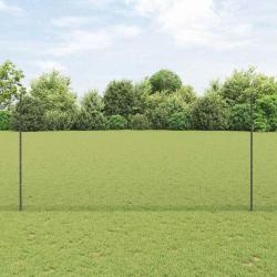 Ensemble de clôture de jardin Ensemble de 2 Gris Acier