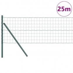 Clôture Euro avec 13 poteaux 0,8x25 m en acier galvanisé vert
