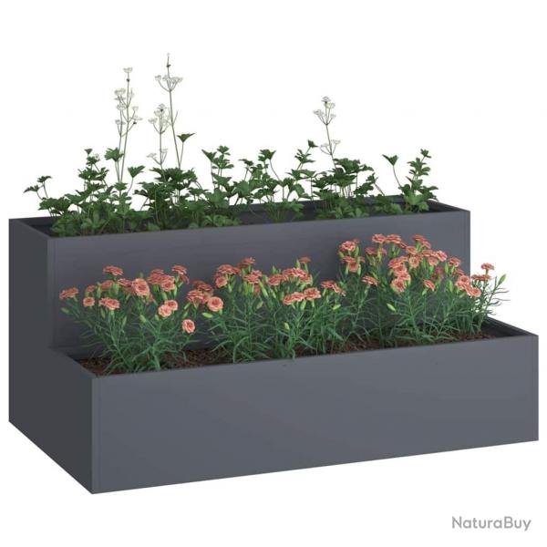 Jardinire de jardin 2 niveaux 100x60x45 cm Anthracite Plastique