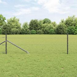 Clôture Hexagonale Gris 0,4x25 m Acier
