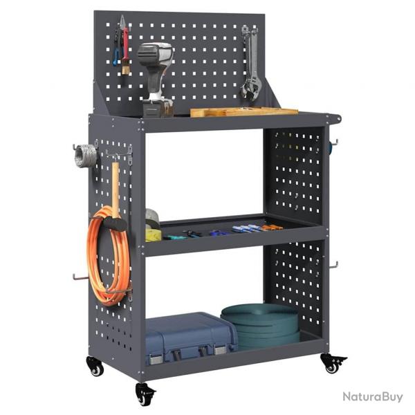 Chariot  outils avec tagre avec roue avec stockage Anthracite 65 x 35 x 111 cm