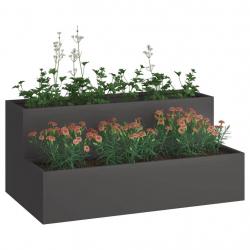 Jardinière - Acier noir à 2 niveaux, 100x60x45 cm