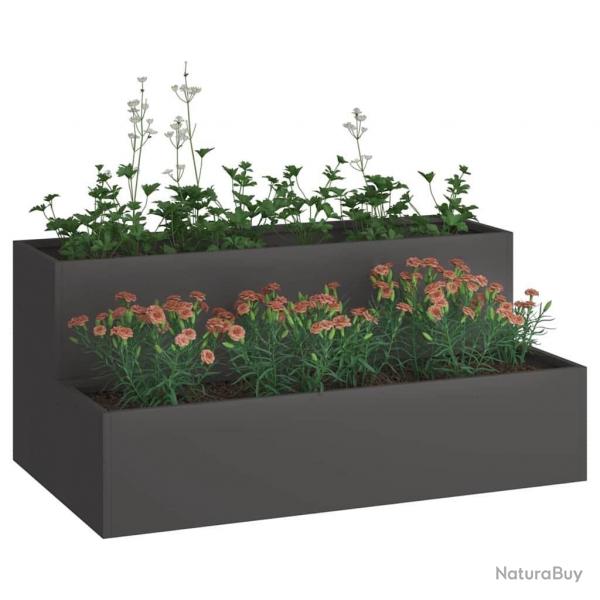 Jardinire - Acier noir  2 niveaux, 100x60x45 cm