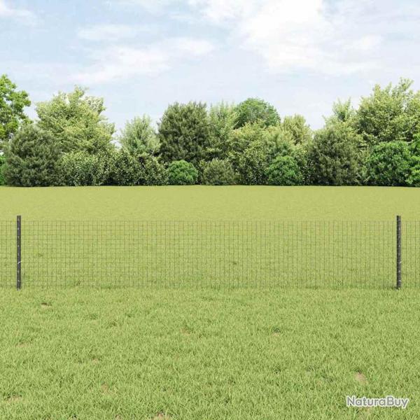 Clture  Fil Soud avec 22 poteaux gris 0.4x50 m en acier