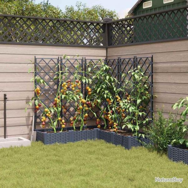 Jardinire avec treillis 5 pcs Grise 120x120x125,5 cm