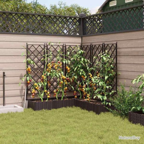Jardinire avec treillis 5 pcs Marron 120x120x125,5 cm