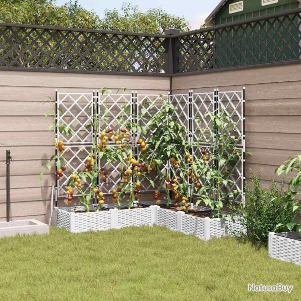Jardinire de Jardin avec Treillis 5 pcs Blanche 120x120x125.5 cm