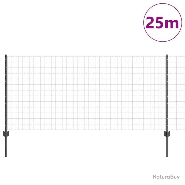 Clture Euro avec 22 poteaux U Gris 1x25 m en Acier