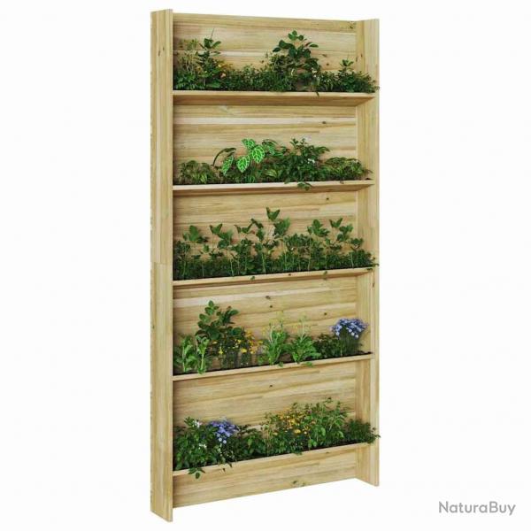 Support  plantes 5 niveaux 90x15x180 cm en bois de pin trait.