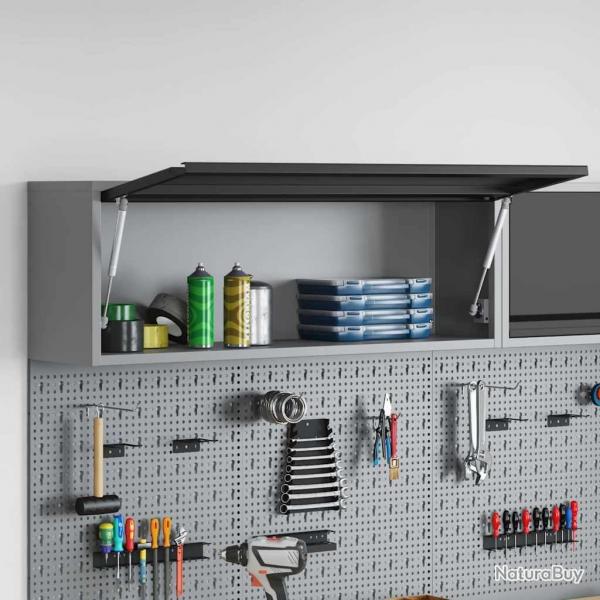 Armoire  outils avec porte  gaz Noir 100x25x35 cm