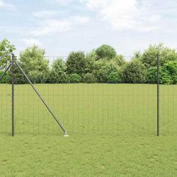 Clôture Euro avec 7 poteaux à piques, 1,6 x 10 m en acier galvanisé gris