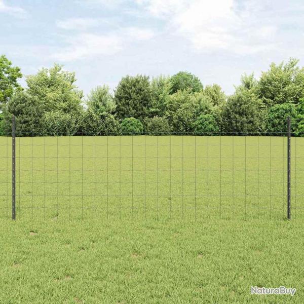 Set de clture de jardin 2 pices Gris Acier enduit de poudre