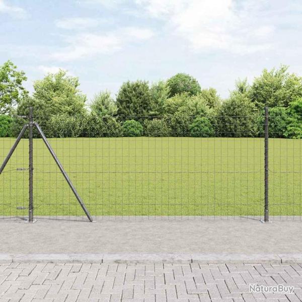 Clture Euro 1 x 10 m avec 7 poteaux  brides en acier galvanis