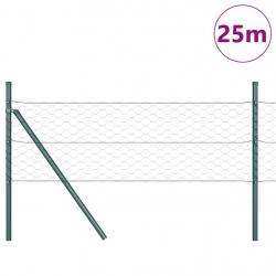 Clôture Hexagonale Verte 0,8x25 m Acier