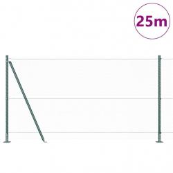 Grillage Set de 2 Vert Acier galvanisé, PVC 25 x 1,2 m Durable