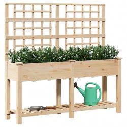 Jardinière avec treillis et étagère 161x43x152 cm en bois massif de sapin