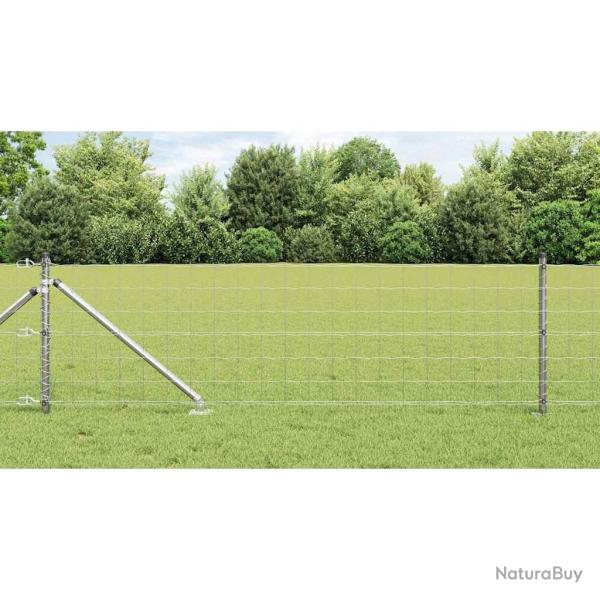 Clture Euro avec 7 poteaux pointus, 0,4 x 10 m en acier galvanis