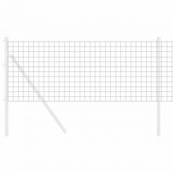 Clôture Euro grise 0.4x25 m en acier