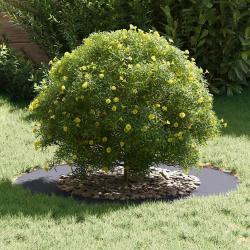 Pot anthracite Anthracite Plastique Grand Grand pot Rond