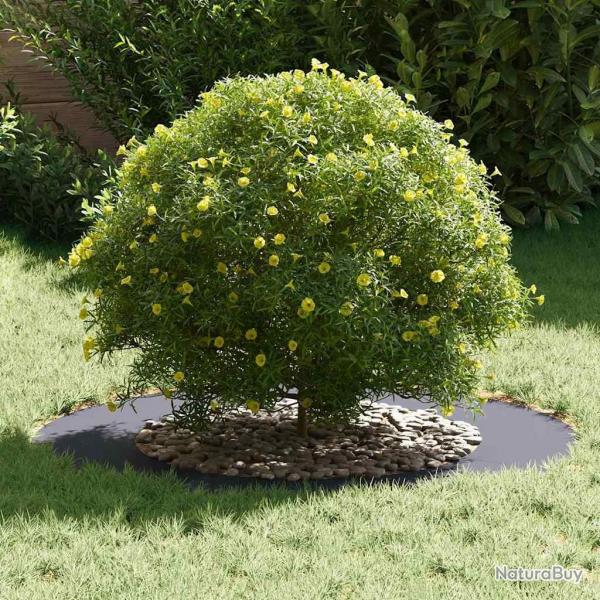 Pot anthracite Anthracite Plastique Grand Grand pot Rond