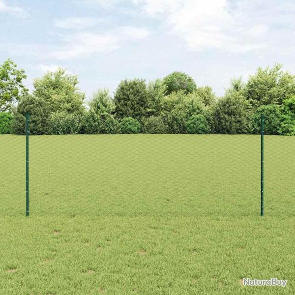 Set de cltures de jardin Lot de 2 Vert Mtal 25 x 1 m Durable