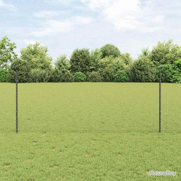 Kit de clture de jardin en acier galvanis Lot de 2 Gris
