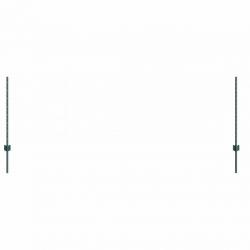Poteaux de clôture argentés 22 pcs Vert Standard Métal