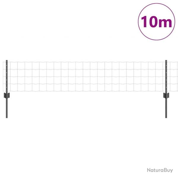 Clture Euro avec 5 poteaux U Gris 0.4x10 m en acier